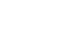 Logo BNH Final curvas png-02